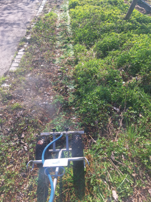 Unkrautbekämpfung ohne Chemie